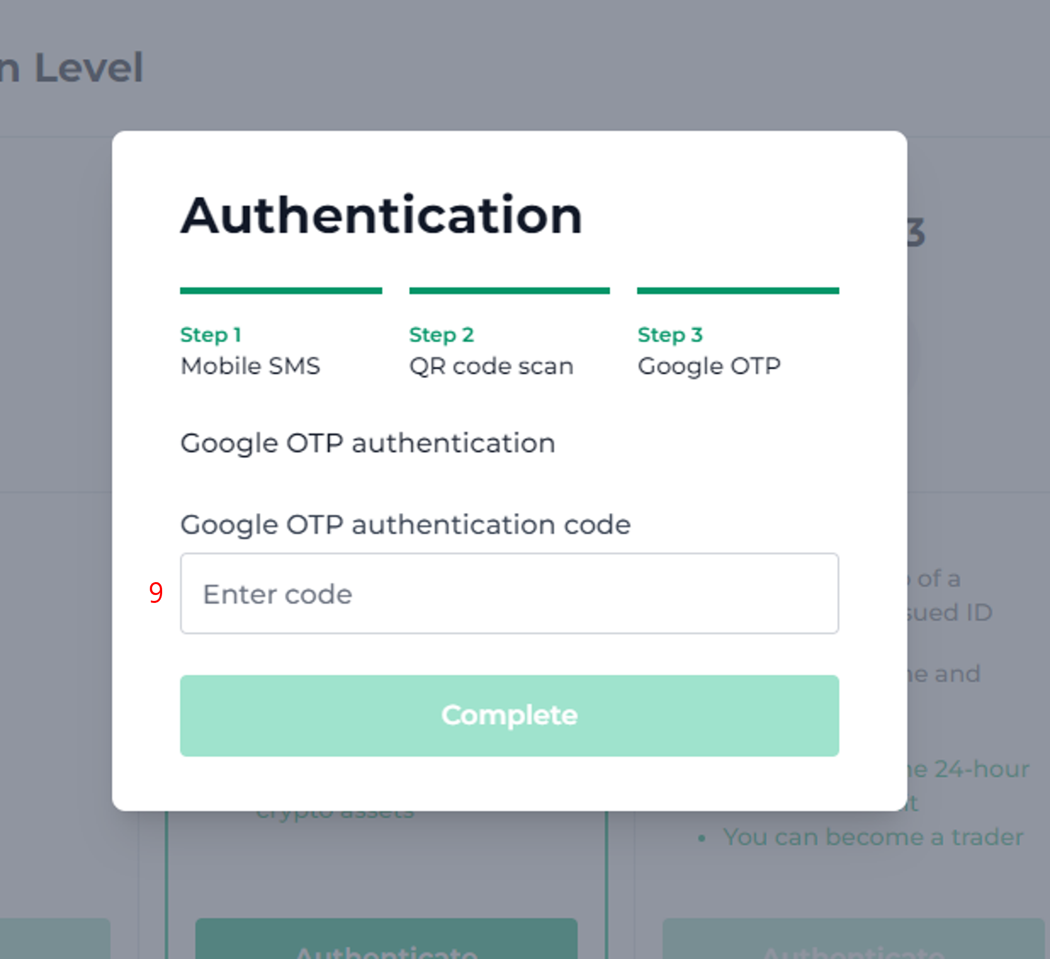 Google OTP code enter.png